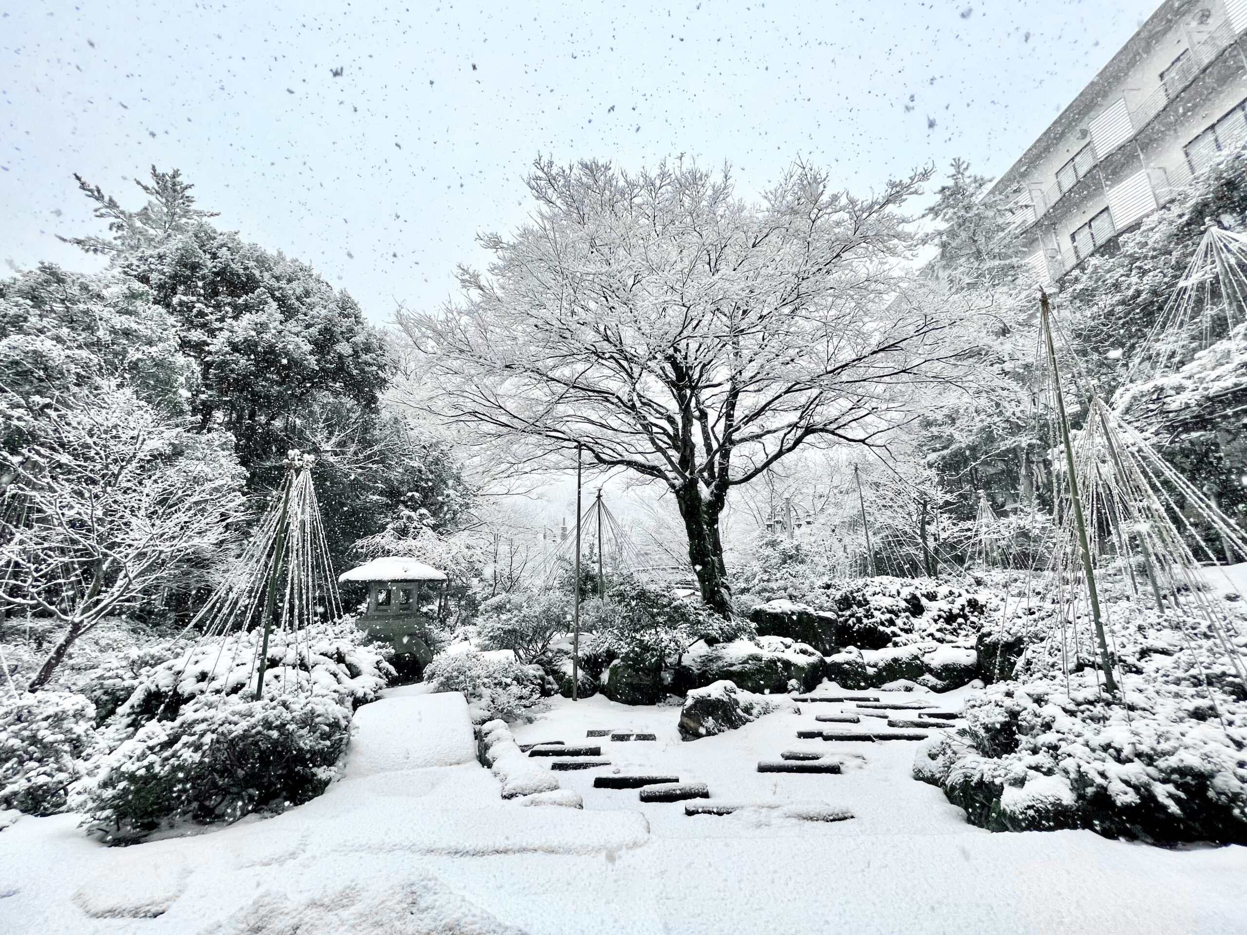 回転式庭園4